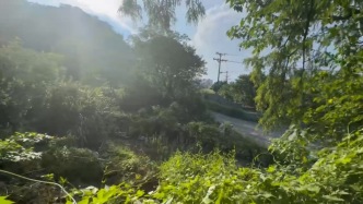 探訪52歲女子誤觸氫氟酸事發(fā)地：所在山地曾開采過石料，現(xiàn)已荒廢