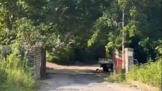杭州女子散步踩到“化骨水”去世，敲响危化品管理警钟
