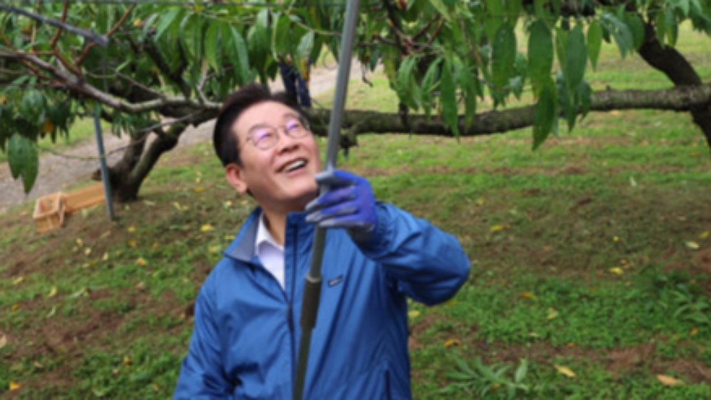 李在明農(nóng)場體驗：修剪桃樹喝蜂蜜，強(qiáng)調(diào)加大支持農(nóng)業(yè)建設(shè)