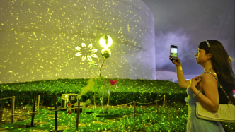 還沒開幕就出圈的上海國際光影節(jié)，有哪些好看、好玩的？