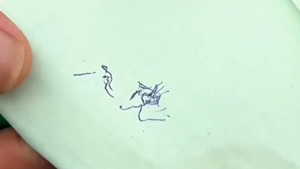 不能說話的爺爺顫抖寫下“入黨”二字，將信仰囑托給入伍孫輩