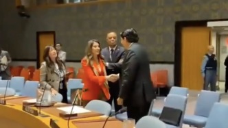 美國再次一票否決安理會加沙決議草案，會后和以色列代表親熱招呼