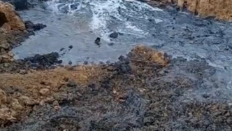 一公司被舉報非法掩埋大量工業(yè)危險廢物，青海海西州：已成立調(diào)查組赴現(xiàn)場