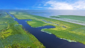 洪湖新担当：守护一湖碧水，打响品牌引来游客，光景一年更比一年强