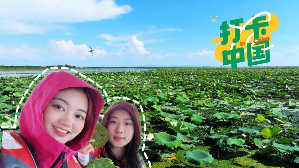 打卡中国|洪湖水浪打浪:重温燃情岁月,感受接天莲叶之美