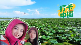 打卡中国｜洪湖水浪打浪：重温燃情岁月，感受接天莲叶之美