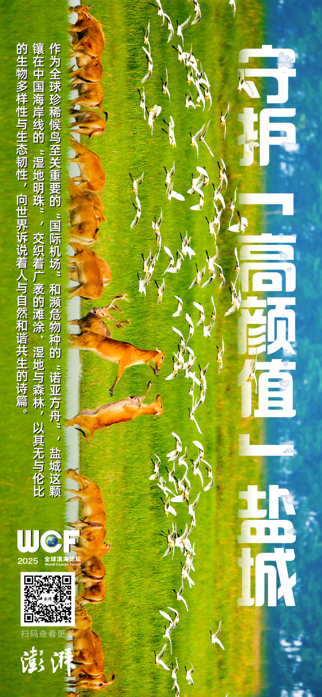 生态优先：如何守护盐城的“高颜值”