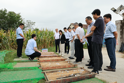 “发现一处金矿”引关注，江苏探寻“地下宝藏”取得重大成果