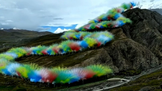 高原煙花秀引爭(zhēng)議，植物學(xué)家：生態(tài)一旦破壞，需幾十年甚至百年恢復(fù)