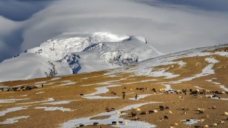 滬喀同心｜光影還鄉(xiāng)，看上海攝影家的20年新疆行