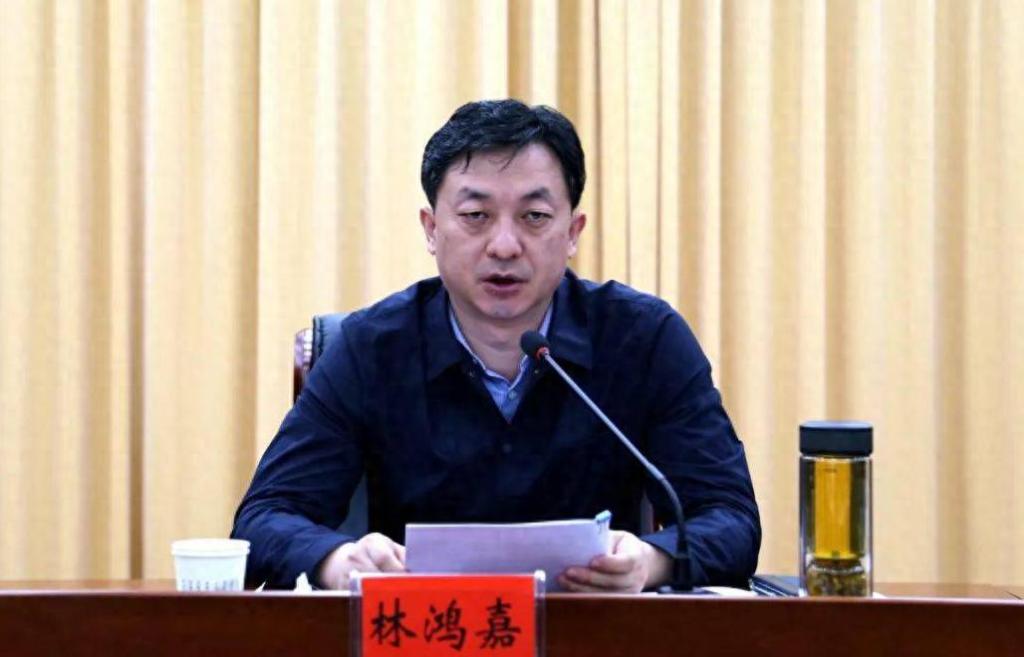 河南省鹤壁市委常委、常务副市长林鸿嘉接受审查调查