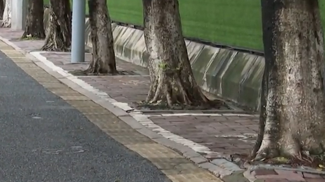 廣州一路段盲道人行道非機(jī)動(dòng)車道混設(shè)存隱患，施工方：將優(yōu)化調(diào)整