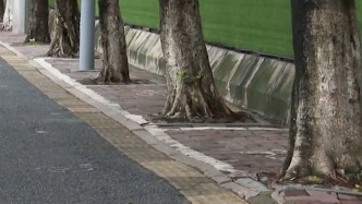 广州一路段盲道人行道非机动车道混设存隐患，施工方：将优化调整
