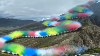 中国广告协会就烟花秀事件发声：营销创意脱离对生态的基本敬畏，会让品牌陷入舆论泥沼