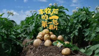 豐收啦, 快來收獨(dú)“薯”于你的快樂！