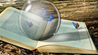 對電視劇固定收益投資，能否因未發(fā)行而免除回款義務？