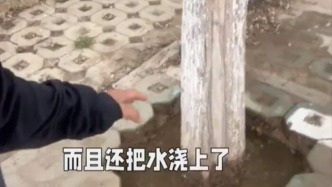银川一国家级城市湿地公园被指“水泥封树坑”，当地自然资源局回应