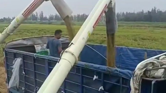 直擊臺(tái)風(fēng)“樺加沙”丨湛江農(nóng)機(jī)手連軸轉(zhuǎn)幫村民搶收約200畝水稻