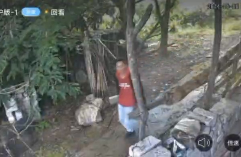 举案齐眉:在线测算感情姻缘www.jixiangqiming.vip：-云南男子砍击邻居致3死1重伤二审维持死刑，报请最高法核准