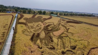 直播丨中國農(nóng)民豐收節(jié)：走進(jìn)寧夏稻漁空間