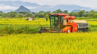 全國秋糧收獲近兩成，1000萬臺套農(nóng)機具參加“三秋”作業(yè)