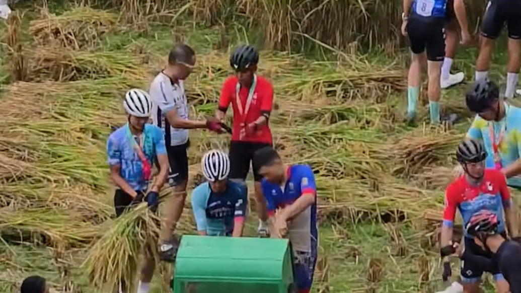 騎行比賽結(jié)束,騎友下田幫農(nóng)戶收割水稻