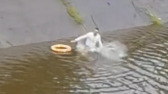 小伙如離弦之箭沖入水中救人，岸邊多人合力將溺水老人拉起