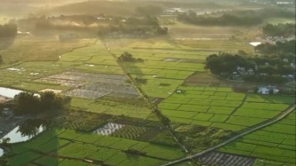 微視頻丨習(xí)近平的鄉(xiāng)土情