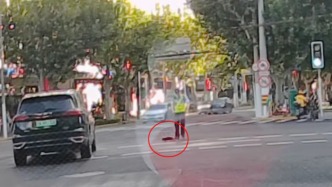 上海早高峰暖心一幕：小貓誤入車流，司機(jī)避讓民警施救
