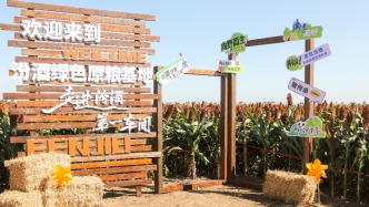 黑土生金，天賜糧源！北緯43°的汾酒“糧心”答卷