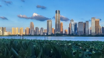 中国绿色双城记：武汉双碳产业赴上海引资，武昌沙湖打造碳枢纽