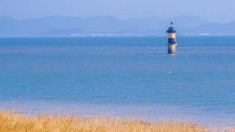 全球13类主要滨海生态系统分布情况首次发布