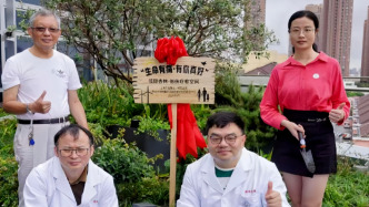上海“杏林”，何以安家三明？