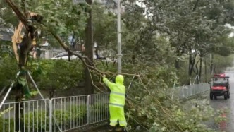 臺風“樺加沙”在廣東陽江沿海登陸