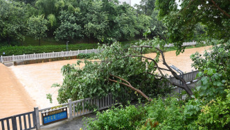 兩部門預撥1.5億元支持粵瓊閩做好防汛防臺風應急搶險救災