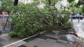 國家發(fā)改委緊急安排2億元支持廣東災后應急恢復