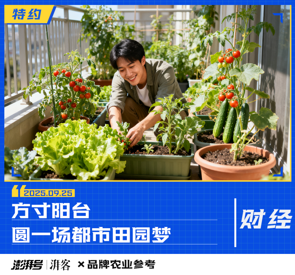 手相姻缘配对:带 “静怡” 的名字-百亿“阳台经济”，谁在买单？
