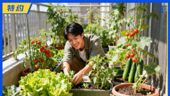 百亿“阳台经济”，谁在买单？