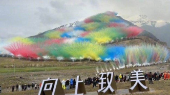 煙花秀“玩脫”、增長放緩，始祖鳥“飛”不動了？