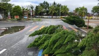 直播丨臺風(fēng)“樺加沙”登陸廣東陽江，澎湃新聞記者探訪臺山市供電搶修、道路清理情況