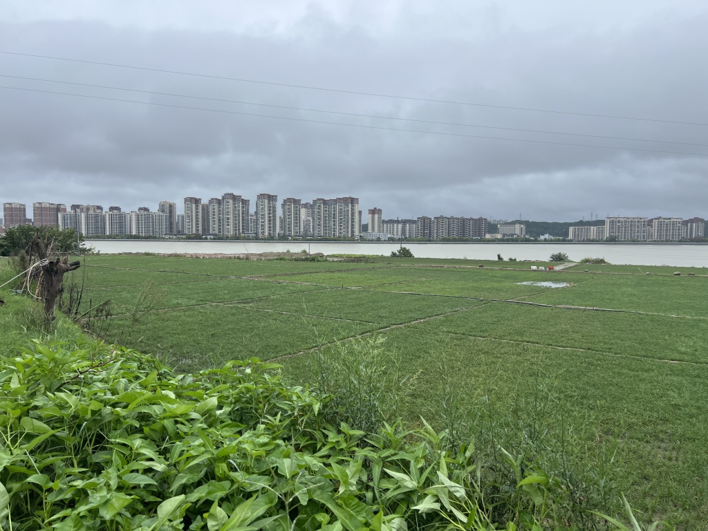 四川三台县涪江一段遭填河造地：当地已要求停止填埋渣石，将研判处理