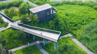 紀念俞孔堅｜人與土地重修舊好