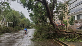 “樺加沙”登陸陽江后：大量樹木倒伏，部分村鎮(zhèn)水電網待恢復