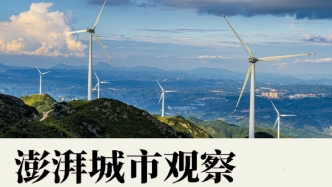 供應鏈降碳，既要“綠電集采”也要推動供應商“用綠電”