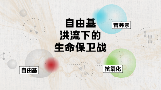 財(cái)曉得｜自由基洪流下的生命保衛(wèi)戰(zhàn)：解碼營(yíng)養(yǎng)素的協(xié)同力量