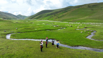7個(gè)交易日4漲停2跌停！云南旅游股價(jià)“過(guò)山車”，此前宣布與浙江人形機(jī)器人創(chuàng)新中心合作