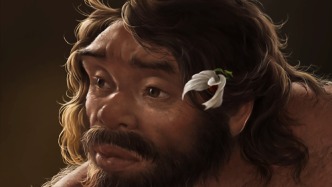 最新研究刷新人类演化时间线