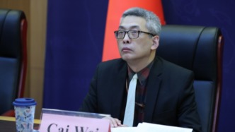 外交部美大司司長(zhǎng)蔡偉履新外交部部長(zhǎng)助理