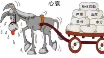 科普 | 得了心衰还能活多久？