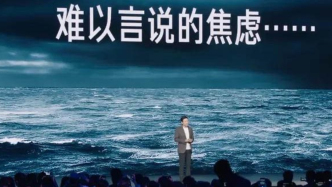 希望今年是雷軍最后一次年度演講
